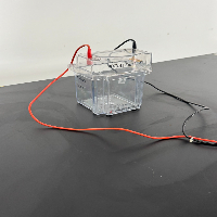 Invitrogen XCell SureLock Electrophoresis Mini Cell image 0